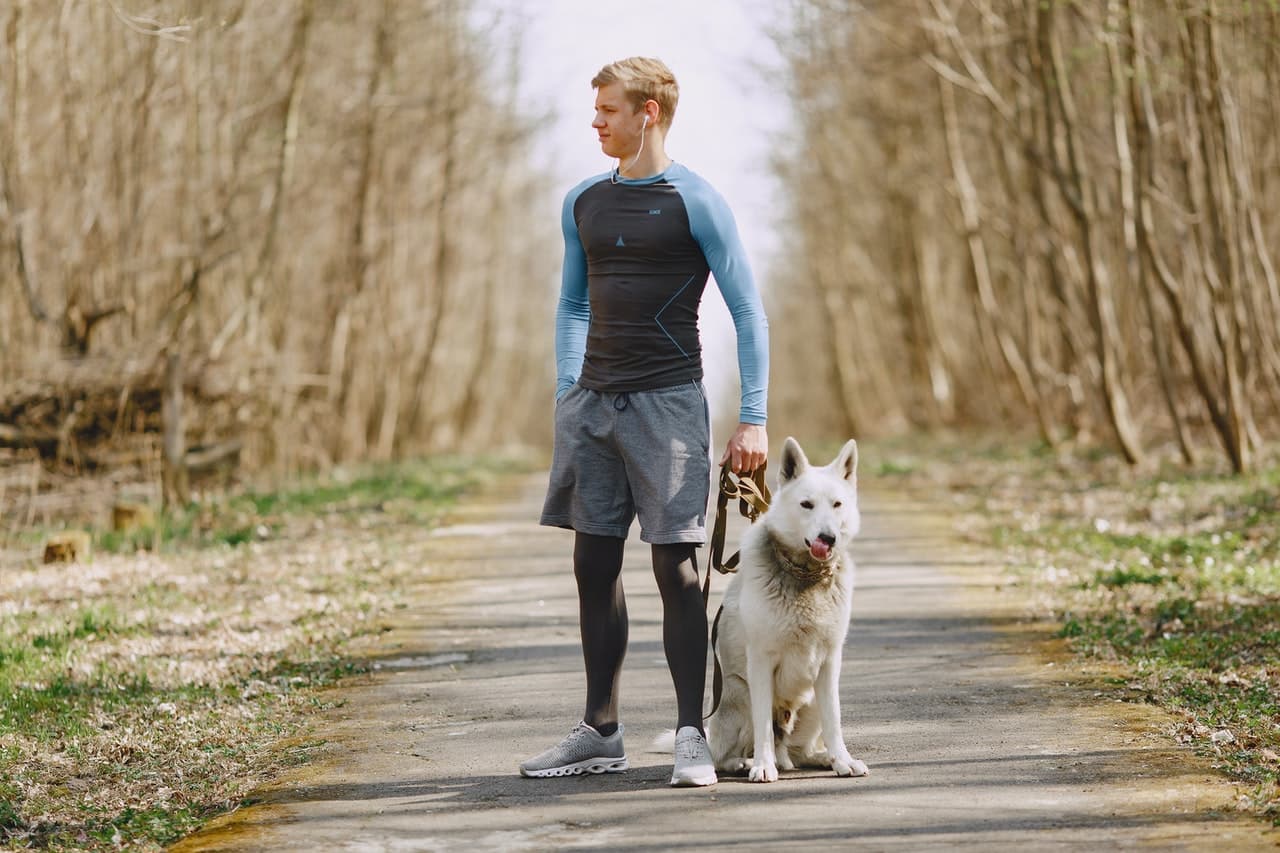 Political Representation