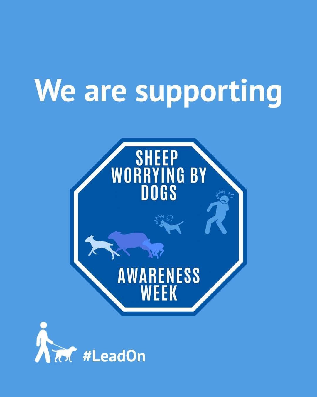 Sheep Worrying by Dogs Awareness Week — #LeadOn
